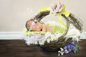 Newborn Photographer-6.jpg